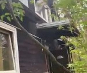 Celestynów. Nastolatkowie zdemolowali cudzy dom. Wyrzucili nawet telewizor przez okno [ZDJĘCIA]