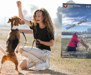 Behawiorystka z Wrocławia pokazuje, jak na co dzień ćwiczyć z psem. Nawet psy behawiorystów mają problemy