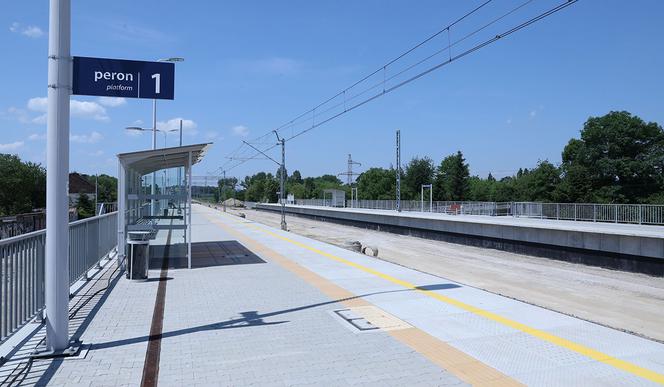 Gigantyczna inwestycja PKP w Krakowie. Prace pochłoną MILIARD ZŁ!