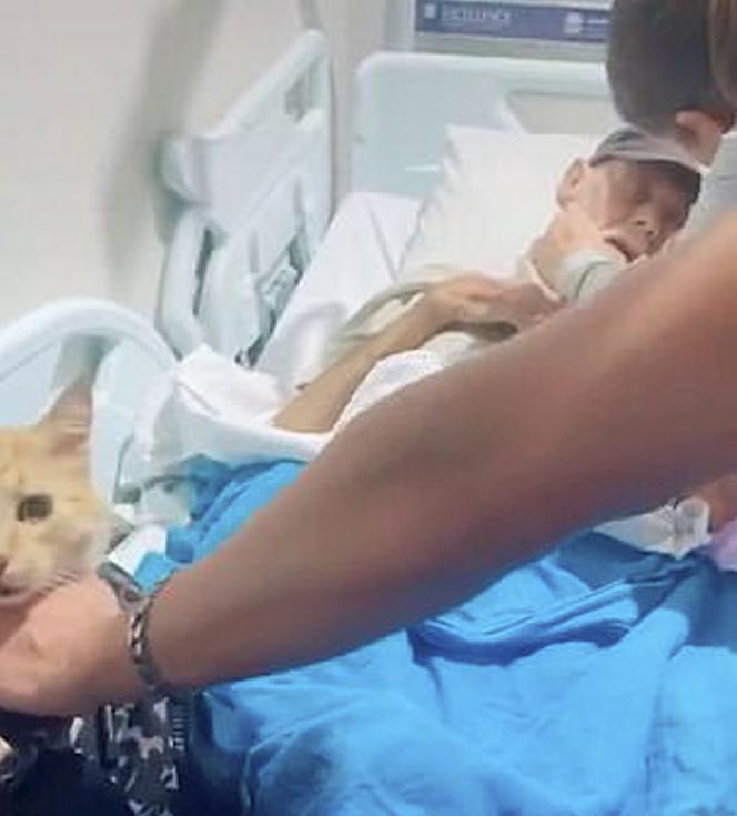 Kot pożegnał pana na łożu śmierci 