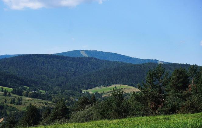 Dolina Popradu. Magiczne, pełne atrakcji miejsce na mapie Małopolski