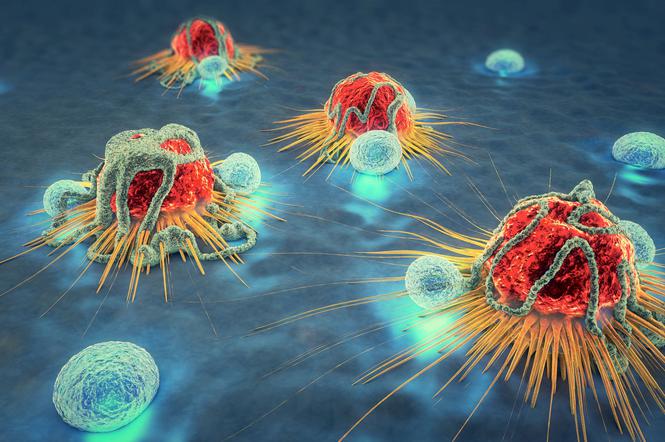 Komórka nowotworowa - jak powstaje i czym różni się od komórki zdrowej?