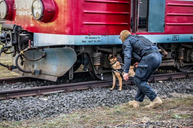W rejonie Olechowa odbyły się ćwiczenia pod kryptonimem "Pociąg"