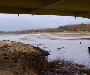 Mroczne klimaty nad zalewem brodzkim. Idealne na spacer dla fotografów