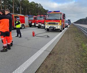 Śmiertelny wypadek na A2 pod Słubicami. 57-latek z forda wjechał pod tira [ZDJĘCIA].