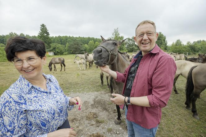 Minister rolnictwa Robert Telus z żoną i końmi 