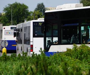 Zlot zabytkowych autobusów 2022 w Bydgoszczy [ZDJĘCIA] 