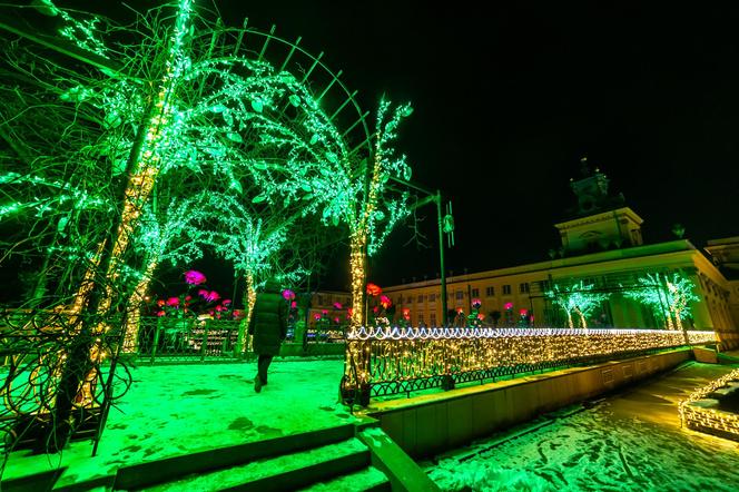 Królewski Ogród Światła - zobacz zdjęcia klimatycznych iluminacji w Warszawie