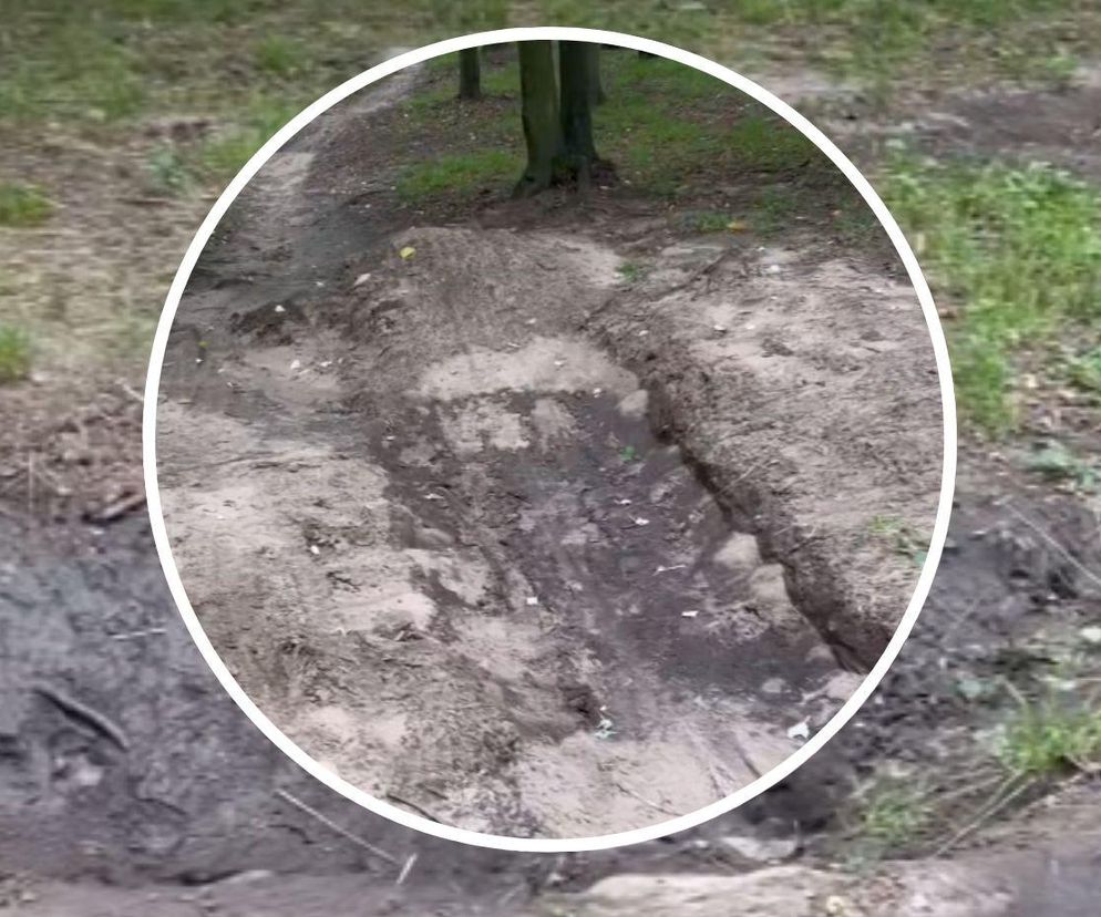 Urządzili sobie tor przeszkód w zabytkowym parku