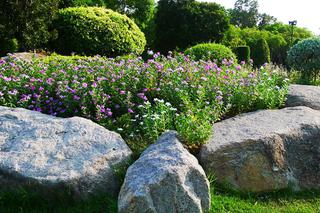 Rodzaje ogrodów skalnych - jaki skalniak urządzić w ogrodzie
