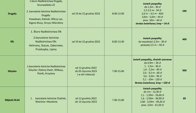 Tanie choinki od leśników w Białymstoku [CENNIK]