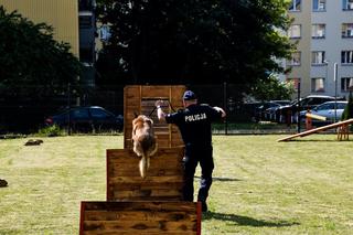 Policjanci na czterech łapach szkolili się w areszcie śledczym [ZDJĘCIA]