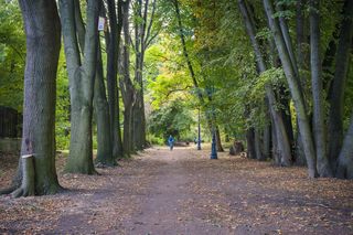 To jeden z najpiękniejszych parków w Warszawie. Część zielonego terenu czeka modernizacja