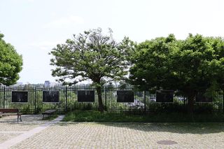 Taras widokowy na placu im. Jerzego Giedroycia w Lublinie