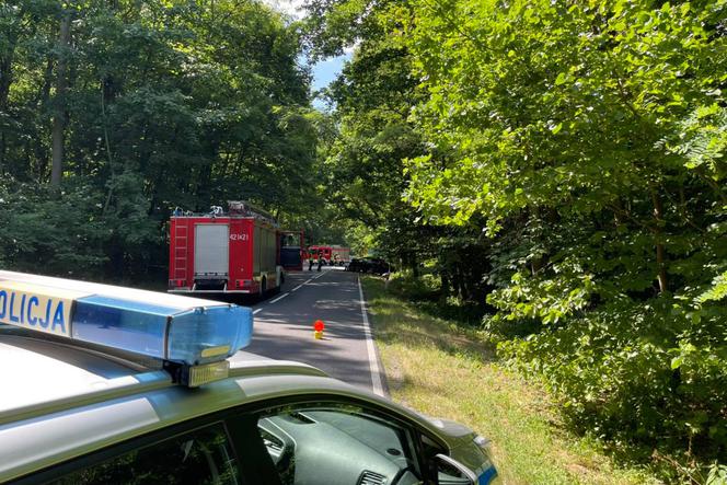 Tragedia na drodze 