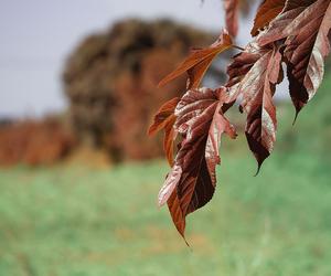 Pogoda na długi weekend listopadowy 2022. Znamy prognozy na dni wolne od pracy