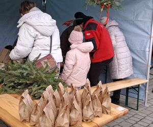 Udekorowana choinka stanęła na środku rzeki w Kaliszu