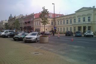 Nowa zieleń w Lublinie
