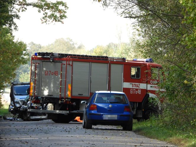 Śmierć na drodze pod Pułtuskiem. Zderzyli się czołowo, jeden z kierowców wypadł z auta
