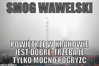 TOP 10 memów o Krakowie