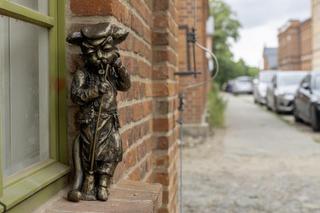 Koty na Księżym Młynie w Łodzi