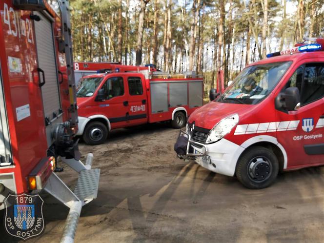 Gostynin: Ledwie wyszedł ze szpitala i ugrzązł na bagnach! Na pomoc ruszyli strażacy! [ZDJĘCIA]