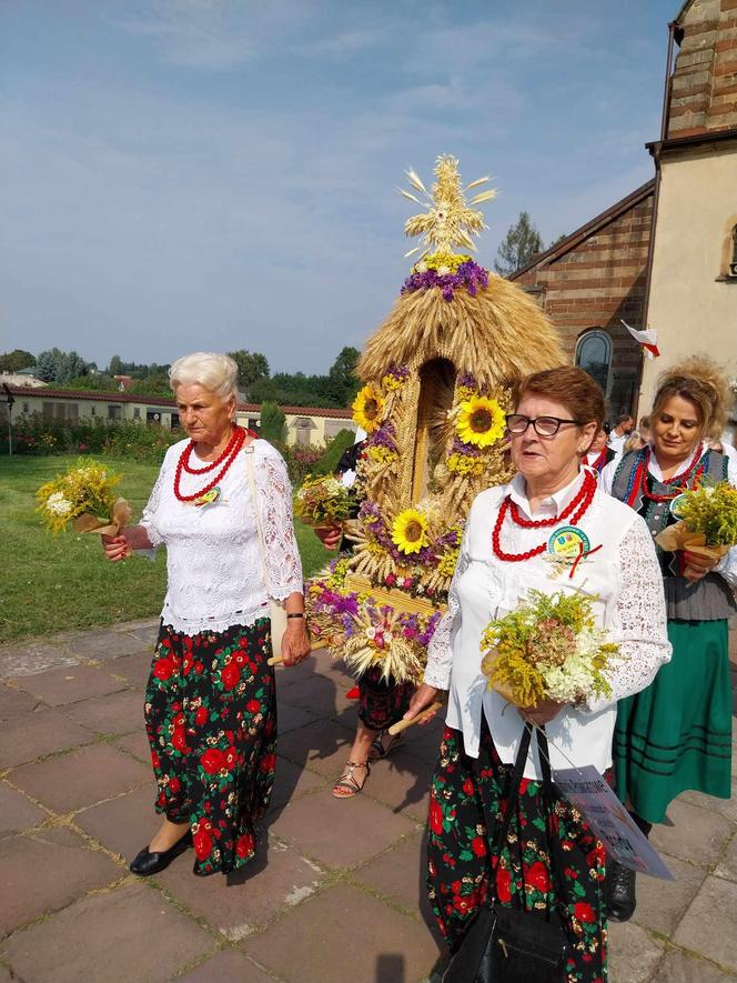 Dożynki 2024 w powiecie starachowickim. W Wąchocku dożynkowe wieńce, korowód i przysmaki