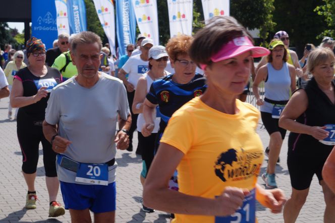 Seniorzy w Bydgoszczy pokazali moc! Blisko setka na starcie pierwszego Biegu Seniora