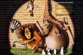 Pamiętasz kultowe teksty z animacji “Madagaskar”? Spróbuj się w quizie z kultowej bajki! 