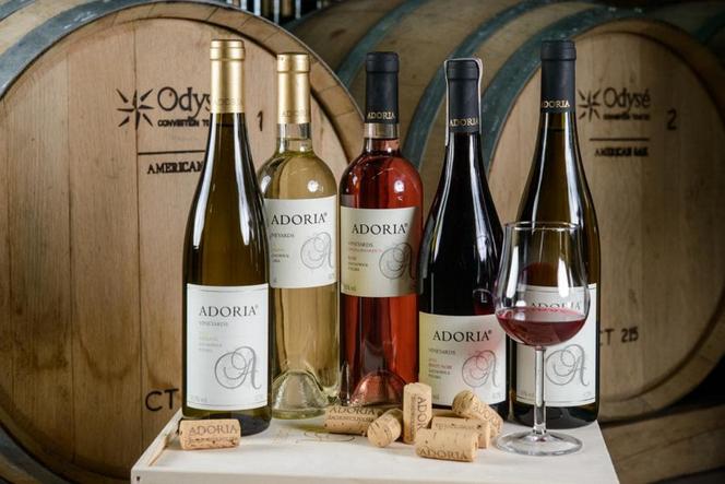 Dolnośląscy winiarze w Gruzji