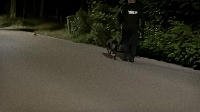 Nocny pościg na Białołęce. Samochodem huknął w drzewo, uciekając zgubił klapki