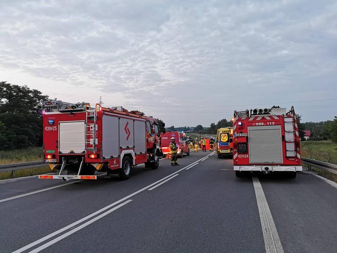 Dąbrowa Tarnowska. Tragiczne zderzenie osobówki z dostawczakiem. Nie żyje troje Rumunów