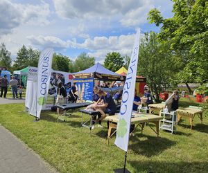 Festiwal Przyjaciół Zwierząt w Olsztynie. Park Centralny opanowały radosne pieski