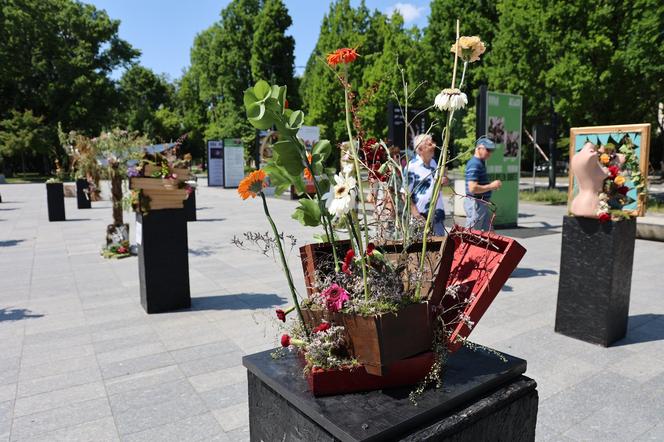 Weekend z florystyką w Lublinie. Zobacz imponujące roślinne instalacje w centrum miasta!