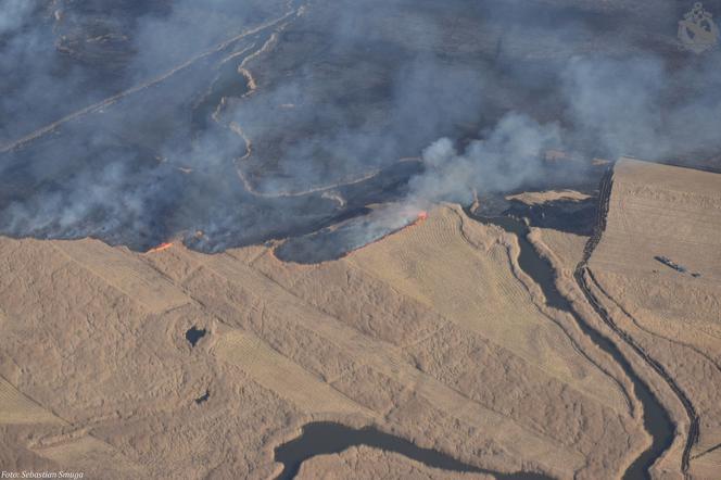 Pożar w Biebrzańskim Parku Narodowym. Zdjęcia z lotu ptaka pokazują skalę katastrofy