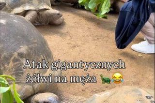 Maciej Orłoś, Paulina Orłoś