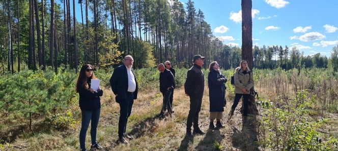 Powstaje miejsce pamięci na Mazurach. To tam odkryto prochy więźniów obozu koncentracyjnego Soldau