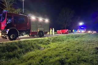 Śmiertelny wypadek pod Oleśnicą. Dwóch motocyklistów spłonęło po zderzeniu z ciągnikiem [ZDJĘCIA].