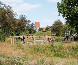 Park Grønningen-Bispeparken projektuje się sam. Architekci nadali kierunek