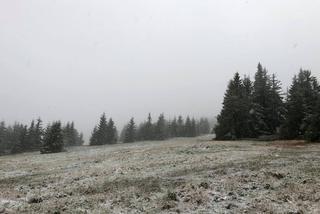 W województwie śląskim spadł pierwszy śnieg! Biały puch pojawił się w Beskidach [ZDJĘCIA, WIDEO]