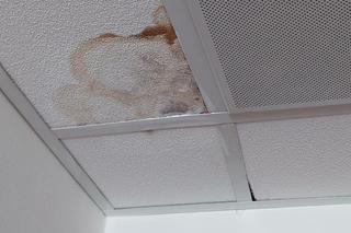 Koszmarne warunki w hotelu w Macedonii. Klienci pokazują zdjęcia