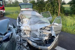 Tragiczny wypadek w Radzyniu Podlaskim. Jedna osoba nie żyje, a kilka osób zostało rannych