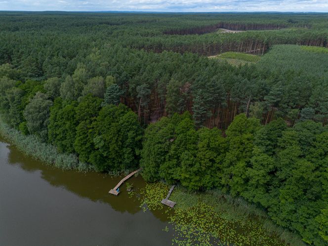 Tragiczna śmierć 15-letniego harcerza pod Wolsztynem
