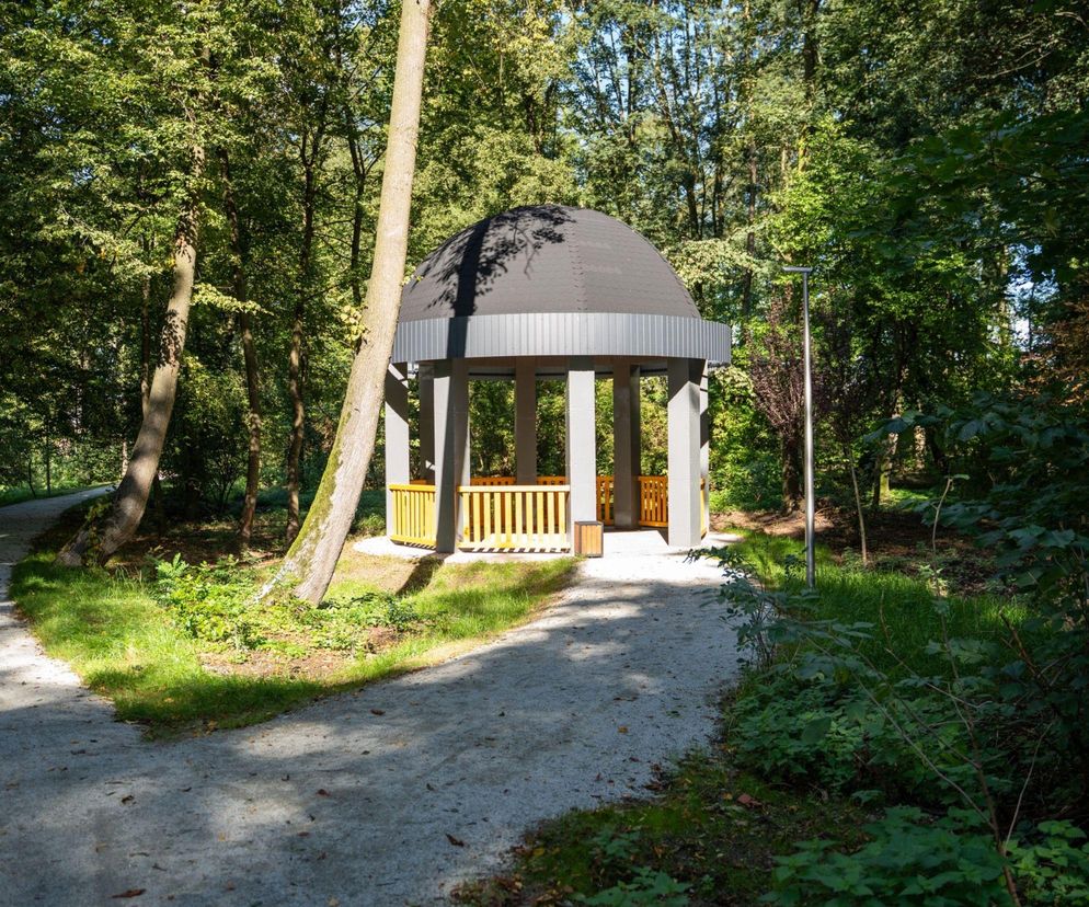 Zabytkowy park zmienił się nie do poznania. Teraz wygląda jak z bajki