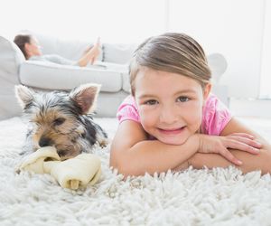 Najbrudniejsze miejsca w domu. Gdzie w domu jest najwięcej zarazków?
