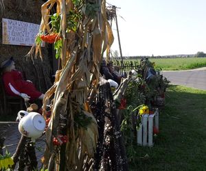 Wyjątkowy przystanek w Nowej Wsi niedaleko Sompolna