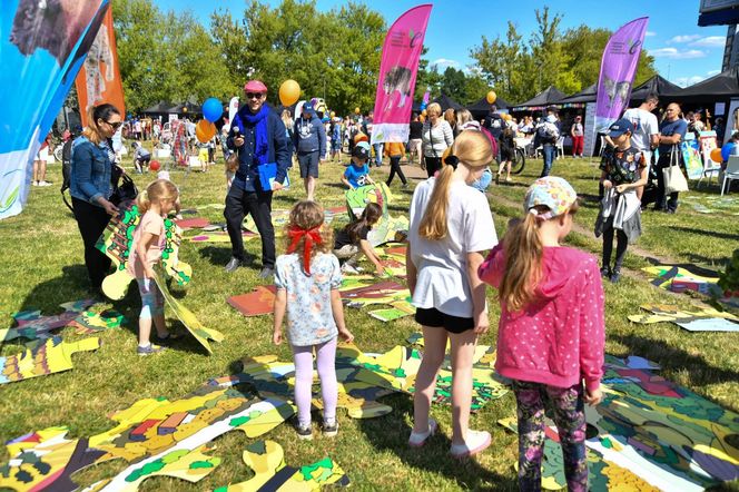 Witaj Lato na Bielanach! Wielkie gwiazdy wystąpią na dzielnicowym pikniku