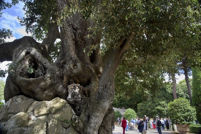 W Castel Gandolfo powstał ośrodek edukacyjny i gospodarstwo Laudato Si