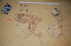Badania archeologiczne na budowie