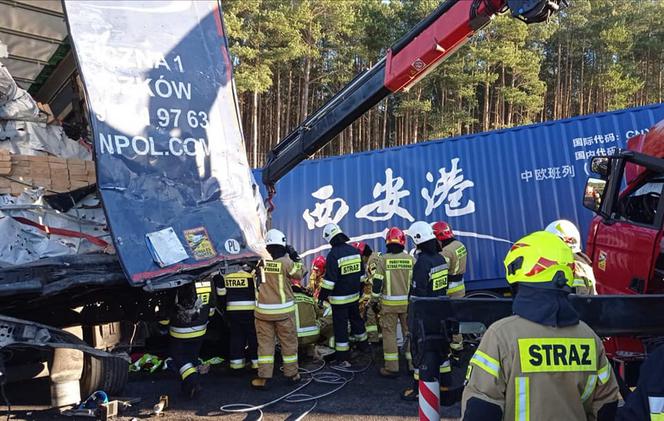 Wielkopolskie: Tragiczny wypadek na A2 pod Koninem! Nie żyje 25-letni kierowca 